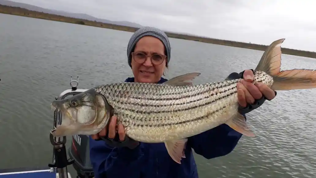 Lake Jozini tiger fishing moment