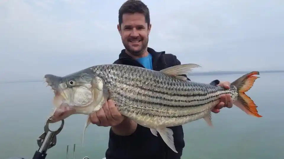 Lake Jozini tiger fishing moment