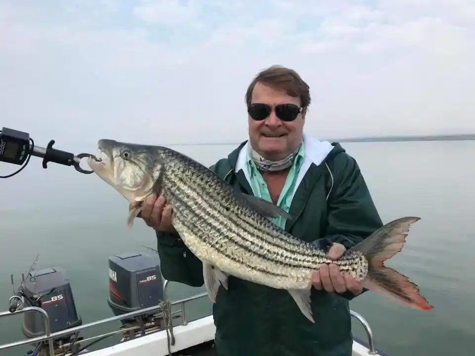 Lake Jozini tiger fishing moment