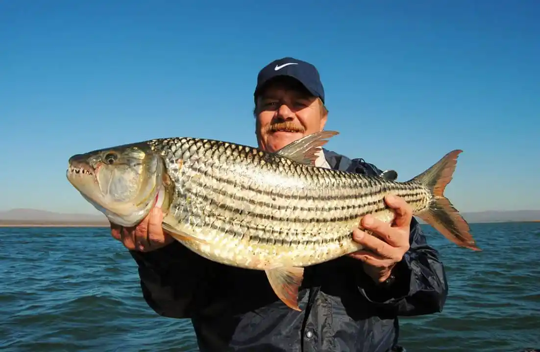 Lake Jozini tiger fishing moment