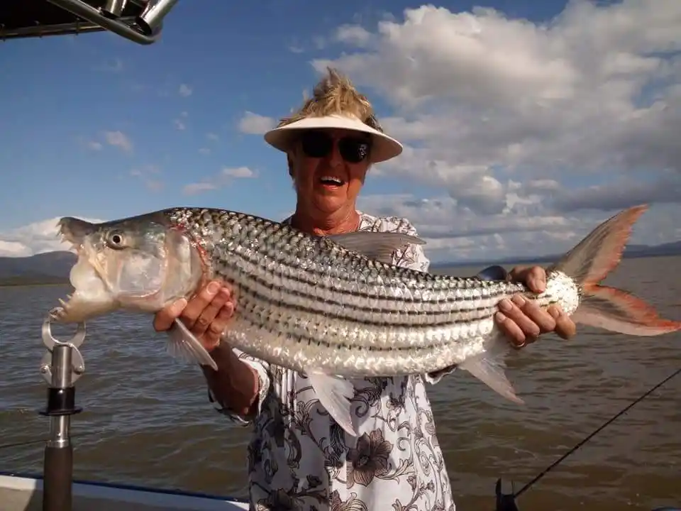 Tiger fish at Lake Jozini
