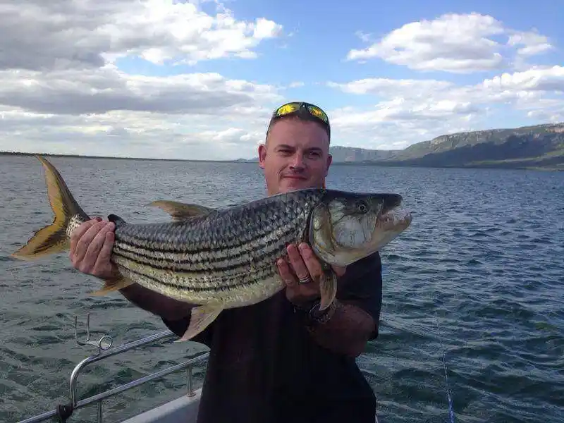 Lake Jozini tiger fishing moment