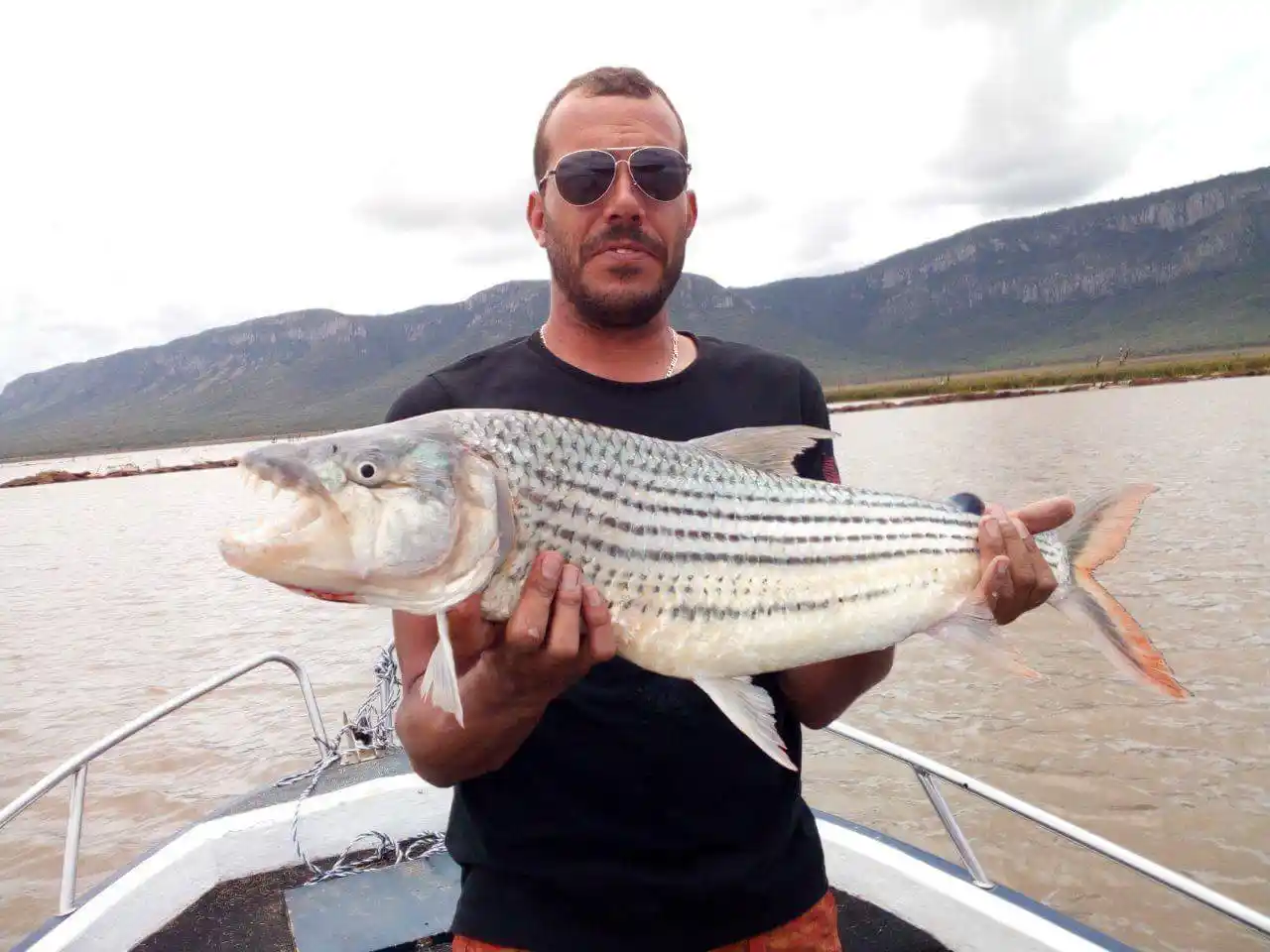 Lake Jozini tiger fishing moment