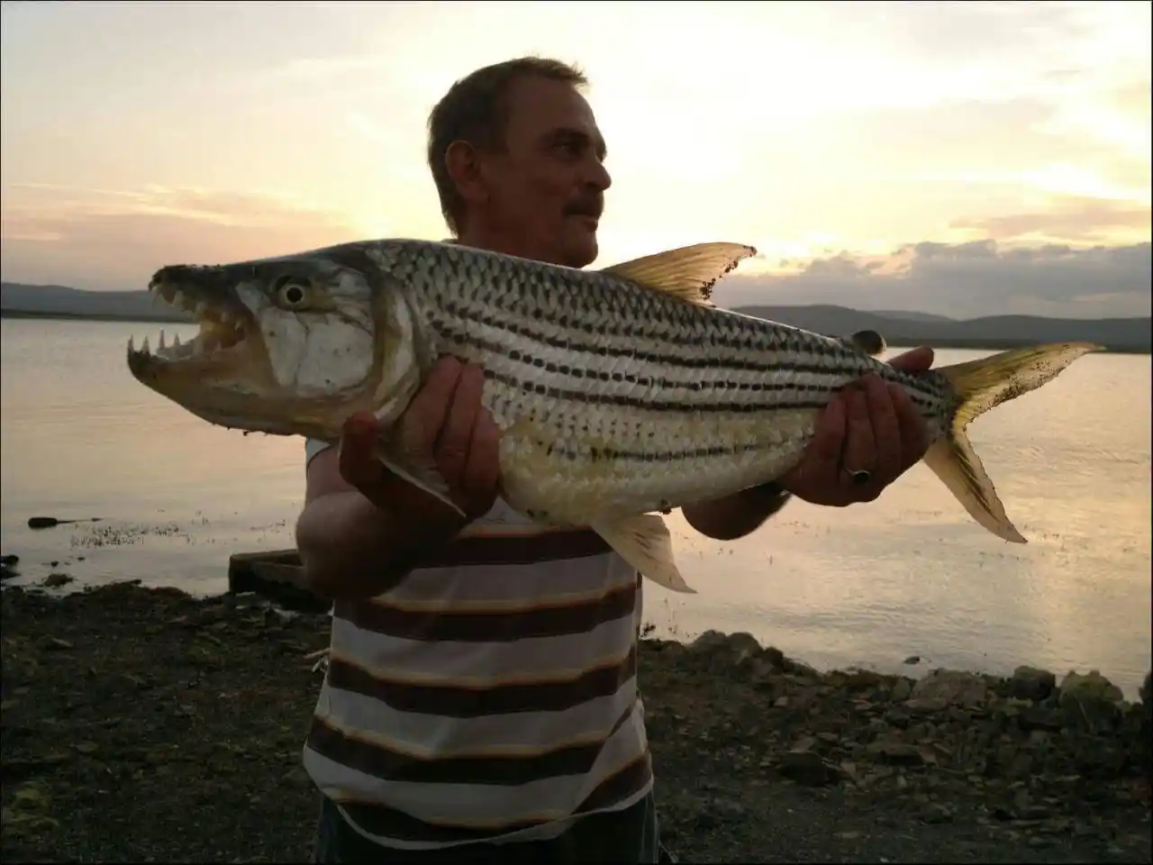 Angler on Lake Jozini