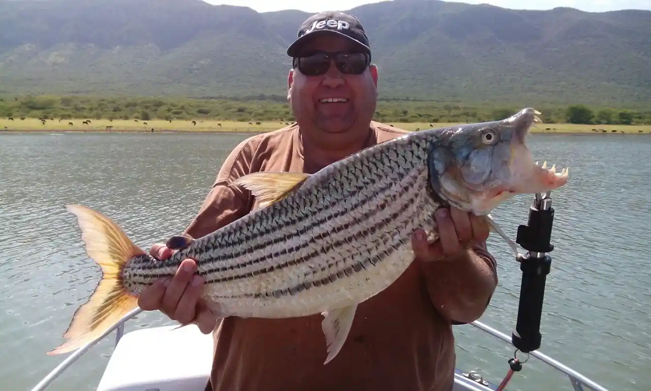 Lake Jozini tiger fishing moment