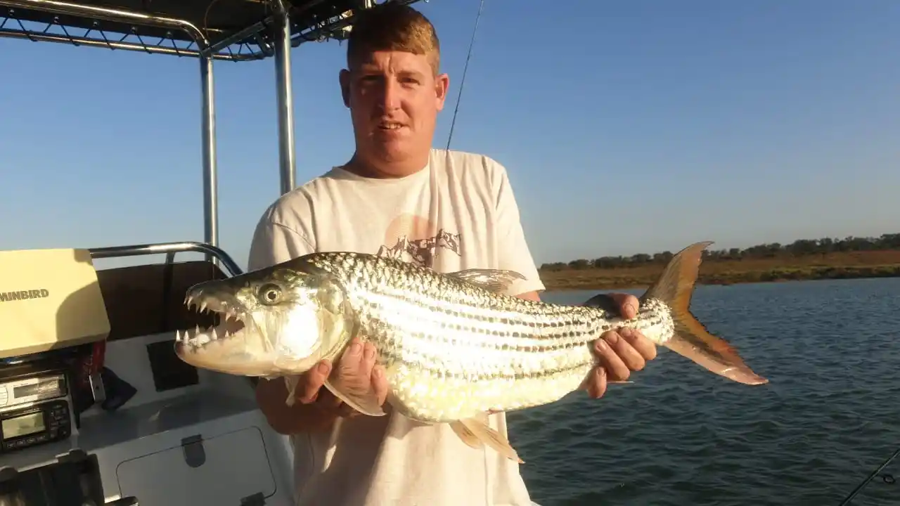 Lake Jozini tiger fishing moment