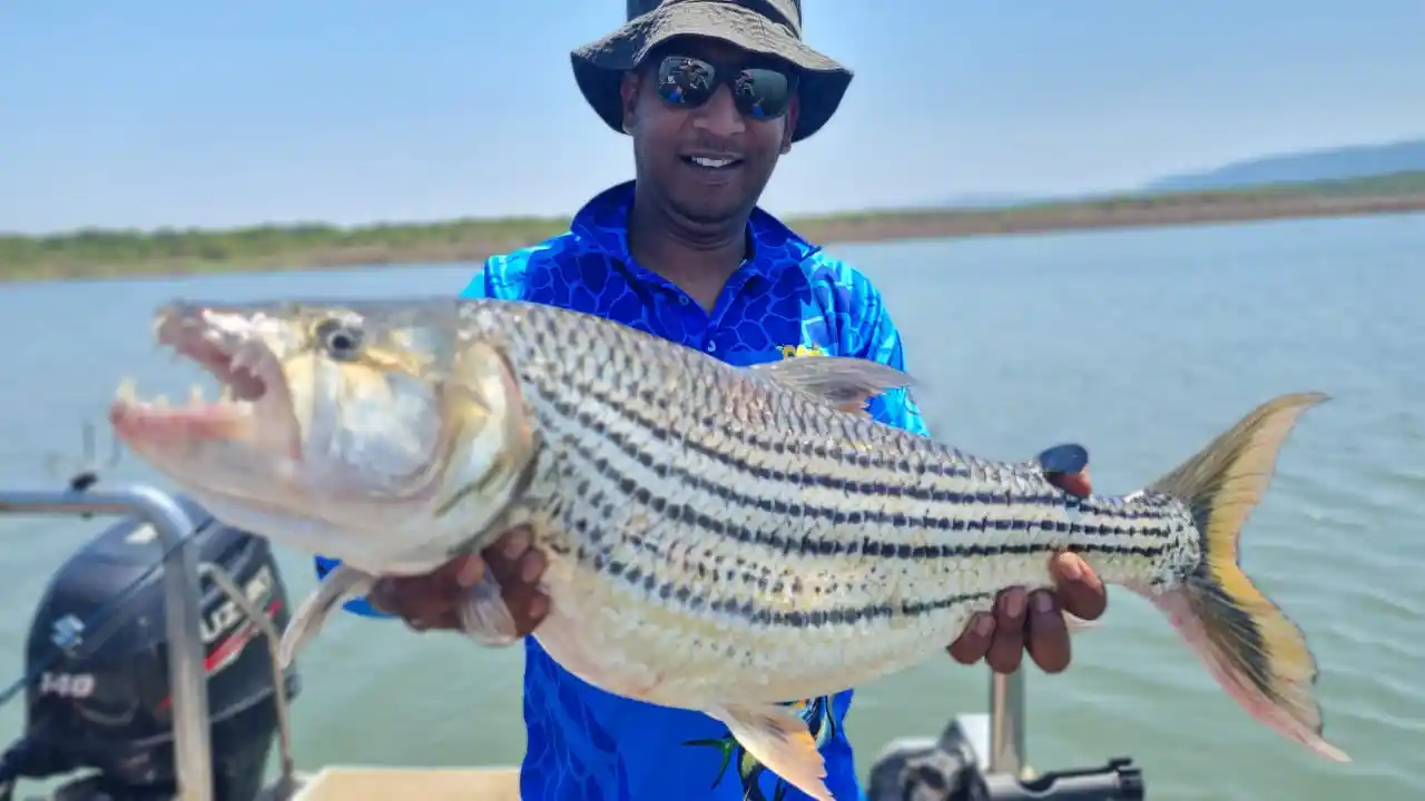 Angler holding a tiger fish caught on a Lake Jozini day trip